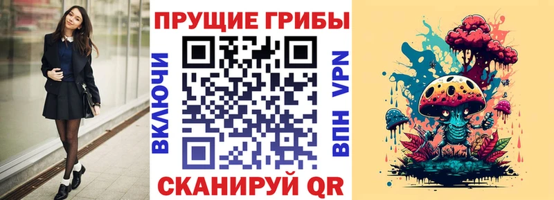 Псилоцибиновые грибы GOLDEN TEACHER  Купить закладки  Бавлы 